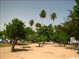 Balneario Seven Seas - FAJARDO